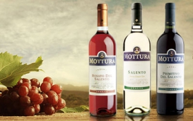 mottura mottura
